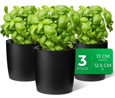Produktbild von Novaliv Stilvolle 3er Set Kräutertopf aus Kunststoff Schwarz für jede Fensterbank, frische Küchenkräuter, Kräutergarten für die küche, Kräuterbeet indoor, Zimmerpflanzen, Pflanzentopf, Pflanzschale