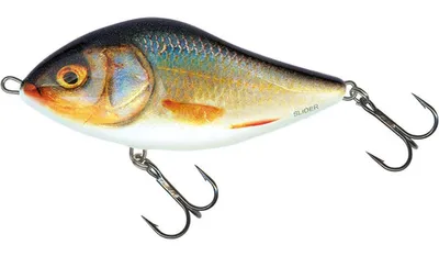 Produktbild von Salmo Slider 7cm Sinking Real Roach