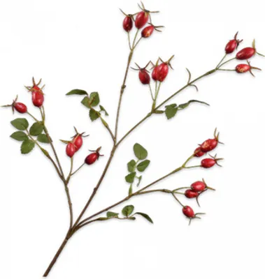Produktbild von Silk-ka Künstliche Blume – Seidenblume – künstlicher Zweig Hagebuttenzweig rot 67 cm pro 2 Stück