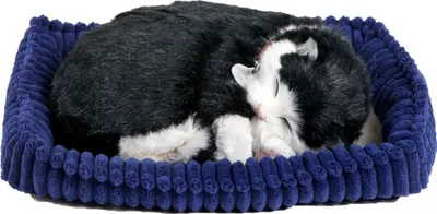 Obrázok produktu pre Perfect Petzzz Plyšová mačka britská krátkosrstá 92554