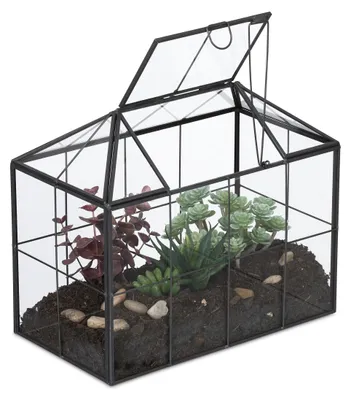 Obrázok produktu pre Sklenené terárium pre rastliny do interiéru, rozmer 20 x 24,5 x 13,5 cm