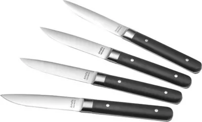 Produktbild von Set mit 4 steakmessern Amefa 4918AAMB02BR4