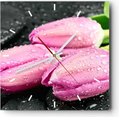 Produktbild von Wanduhr - Quadrat - Glasuhr - Tulpen Tau Steine Pflanze - 30x30cm - Schleichendes Uhrwerk - Lautlos - zum Aufhängen bereit - Dekoration Modern - Wanddekoration aus Glas - C3AC30x30-2485