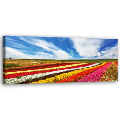 Image de Toile « Champ de tulipes colorées » 150 x 50 Feeby Image colorée pour le mur, prête à être accrochée
