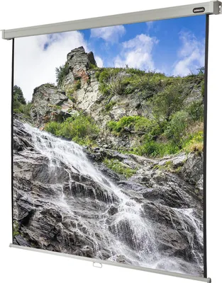 Image de Celexon toile Rollo Professional 220 x 220 cm