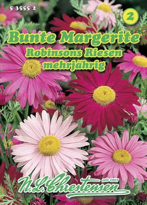 Artikelbild 1 von 'Bunte Margerite Robinsons Riesen' aus der Kategorie Margeritensamen