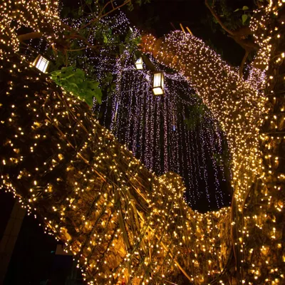 Obrázok produktu pre VIANOČNÉ SVETIELKA NA Vianočný stromček, 300 LED, ovládač s 8 režimami, teplá biela farba