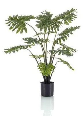 Produktbild von Kunstpflanze Philodendron 80 cm mit Realistischen Blättern