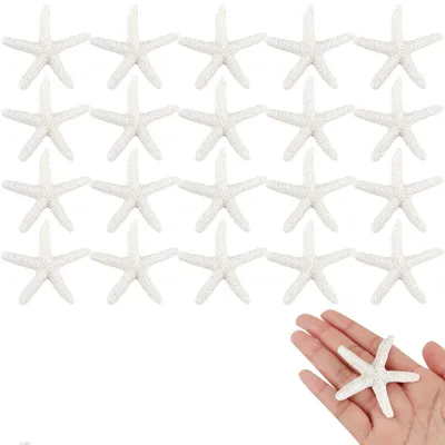 20 Seesterne aus Kunstharz, 5,8 cm, weiß, für Dekoration