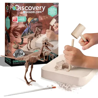 Produktbild von Ausgrabungsset 3D Puzzle 4894088052879