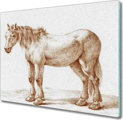 Produktbild von Coloray Schneidebrett Herdabdeckplatte 60x52 cm Kochplattenabdeckung Küchenbrett Hackbrett - Zugpferd