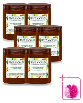 Image de 6 bougies parfumées Botanica de Air Wick - Vétiver et bois de santal - Pack économique - 6 pièces