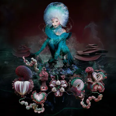 Zdjęcie produktu dla Björk - Fossora (2 LP)