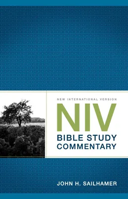 Produktbild von NIV Bible Study Commentary
