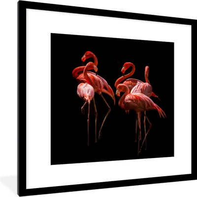 Produktbild von MuchoWow® MuchoWow® Gerahmtes Poster Flamingo - Rosa - Schwarz 40x40 cm - Poster mit zchwarzem Bilderrahmen - Poster - Plakat im Rahmen