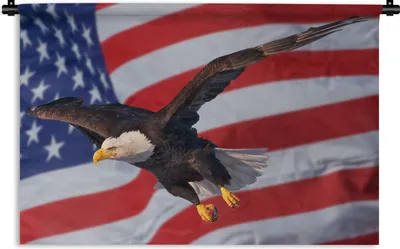 Produktbild von MuchoWow® Wandteppich Wandbehang Amerikanischer Weißkopfseeadler vor der amerikanischen Flagge 120x80 cm Tapisserie Dekoration Wandtuch - Wanddekorationen - Wandtücher