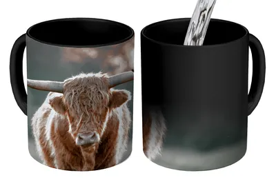 Obrázek produktu pro MuchoWow® Kouzelný pohár Skotský horal - Zvíře - Západ slunce 350 ml Barva měnící se pohár Dárkový nápad - foto hrnek