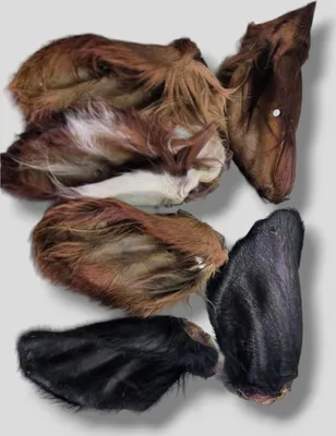 Produktbild von 30 Stück PREMIUM Getrocknete Rinderohren mit fell XXL Kauartikel Hundesnack Hundefutter