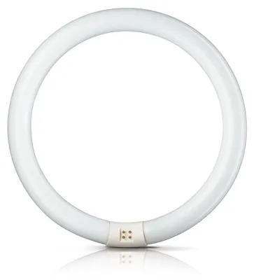Zdjęcie produktu dla Philips MASTER TL-E Circular, 22 W, G10q, C-T9, 1250 lm, Chłodna - światło dzienne