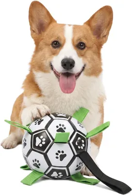 Produktbild von Hundeball interaktiv, für kleine und mittelgroße Hunde, Nylonriemen, Spielzeug für aktive Hunde