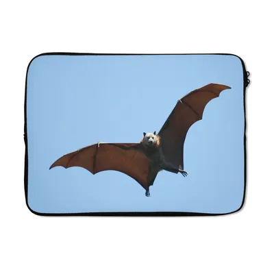 Produktbild von MuchoWow® Laptop Hülle 14 ZollFledermaus - Luft - Flügel Laptoptasche - Laptoptasche - Stoßsicher - Schutzhaube