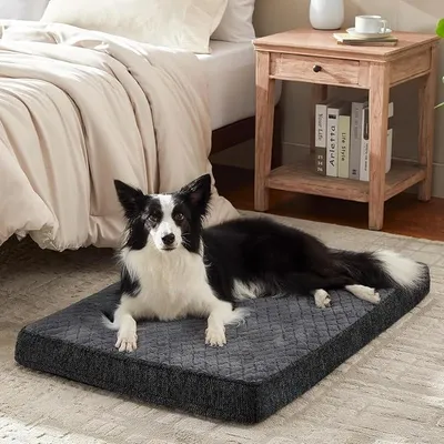 Produktbild von PolkaHome® Orthopädisches Hundebett für große Hunde, Hundekissen, waschbar, kuschelig, Hundematte, Hundematratze, rutschfeste