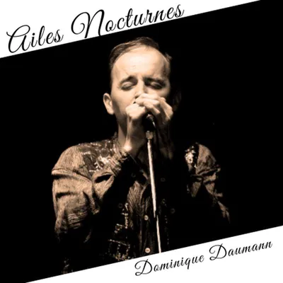 Immagine prodotto di Notturni di Ailes - Dominique Daumann