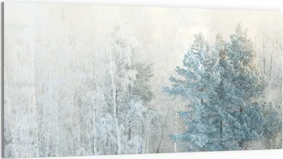 Produktbild von DEQORI Glasbild Echtglas 100x50 cm 'Frostige Stille' Wandbild Bild modern Deko