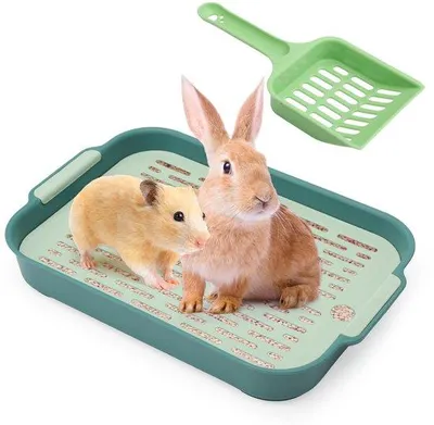 Produktbild von Kleiner Toiletwinkel für kleine Tiere wie Kaninchen und Meerschweinchen (grün-klein)