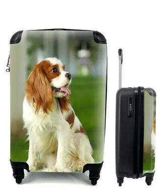 Produktbild von MuchoWow® Koffer Handgepäck Trolley Rollkoffer Kleine Reisekoffer mit 4 Rollen - Ein sitzender Cavalier King Charles Spaniel - Cabin Size < 55x40x23 cm & 55x40x20 cm - Fotokoffer - Kabinenkoffer - Boardgepäck - Reise-Box - Reisekoffer - Reisegepäck - Koffer mit Bild - Trolley für Kinder