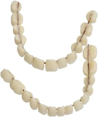 Productafbeelding van Hars kunstgebit nep tanden tandprothese 1 set - Set van 28 - Hele Tanden Halloween Horror Party Ornament