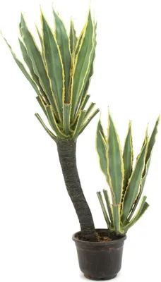 Obrázek produktu pro EUROPALMS Orchidej Kaktus, umělá rostlina, 160cm