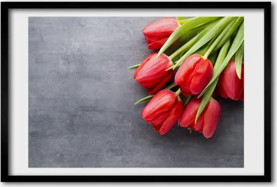 Produktbild von Bild 60x40 MDF-Rahmen, Wandkunst rote Tulpen