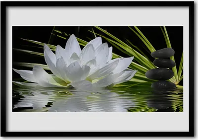 Produktbild von Bild 70x50 MDF-Rahmen Wandkunst Wasser-Lilien-Blumen
