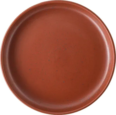 Zdjęcie produktu dla Rosenthal Gourmetteller 20 cm Joyn Stoneware Spark Steinzeug Rot  24120-405302-60970