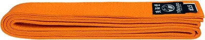 Produktbild von Karate Farbgürtel, TOKAIDO, Baumwolle Orange - Größe 225 cm (1.5)