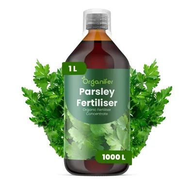 Produktbild von Petersilie Flüssigdünger 1L – 2-1-8 NPK – Flüssig-Pflanzendünger für Petersilie – Fördert kräftiges Wachstum & aromatische Blätter – Organifer