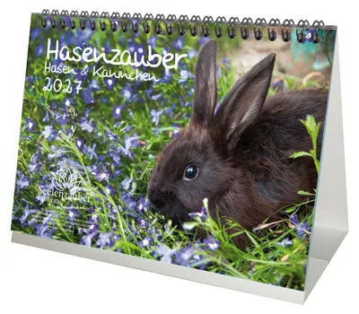 Produktbild von Hasenzauber und Kaninchen DIN A5 Tischkalender 2027 - Seelenzauber