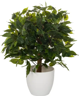 Produktbild von hjh OFFICE Kunstpflanze Ficus 871061
