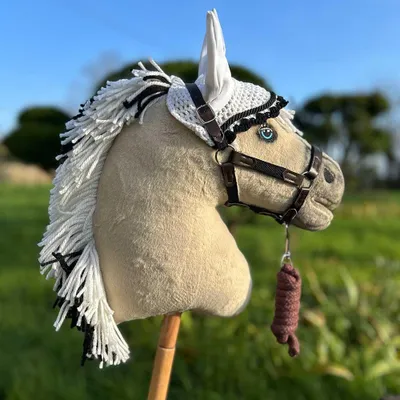 Image de Hobby Horse Iska avec licol, bonnet et queue amovible - Taille A3