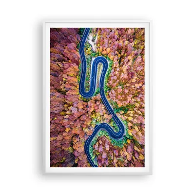 Produktbild von Gerahmtes Poster - Weißer Rahmen - Kurvenreich Weg Wald - 70x100 cm - Wand Bild - Wanddeko - Wandbilder - Kunstposter - Wandposter - Bilderrahmen - Bilder - Kunstdruck - Wandbild - P2WPA70x100-4291