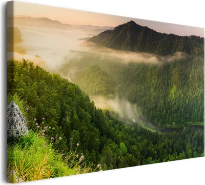 Obrázek produktu pro Dekorace na zeď obývacího pokoje Obraz na plátně Horská krajina v mlze 60x90