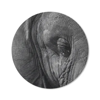 Produktbild von MuchoWow® Mauspad Mousepad Elefant - Tiere - Nahaufnahme - Schwarz und weiß 30x30 cm - Mousepads - Maus Mat - Pad - Mausunterlage - Tischunterlage - Schreibtischmatten