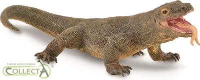 Produktbild von Collecta Komodowaran-figur Grün 3-6 Years Grün 3-6 Years