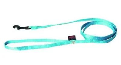 Image de Laisse pour chien Martin Nylon Turquoise