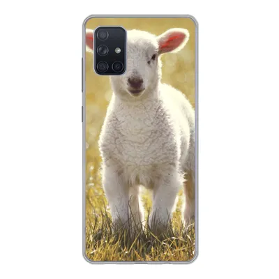 Produktbild von MuchoWow® Handyhülle Schutzhülle Hülle für Samsung Galaxy A71 Lamm - Gras - Sonne Silikon Softcase Handy Hülle - Kartenbesitzer