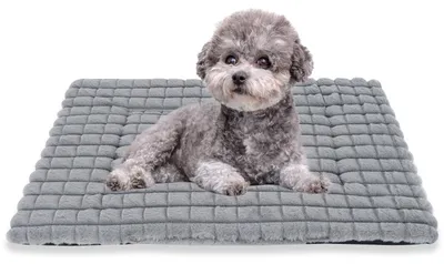 Immagine prodotto di Cuccia ortopedica per cani, lavabile, 75x50 cm, grigia