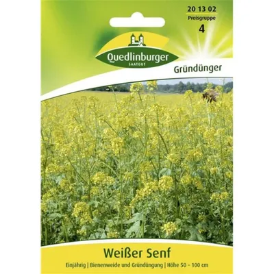 Produktbild von Weisser Senf, als Bienenweide und Gründüngung geeignet