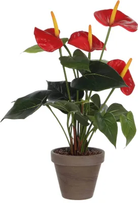 Produktbild von Mica Decorations Anthurium Kunstpflanze im Blumentopf Stan Stan - H38 x Ø30 cm - Rot