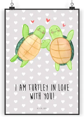 Produktbild von Mr. & Mrs. Panda Bild Schildkröten Paar DIN A4 - Grau Pastell - Geschenk, Plakat, Kunstdruck, Hochzeitstag, für Frauen, Valentinstag, wanddeko, poster, Wandbild, Freundin